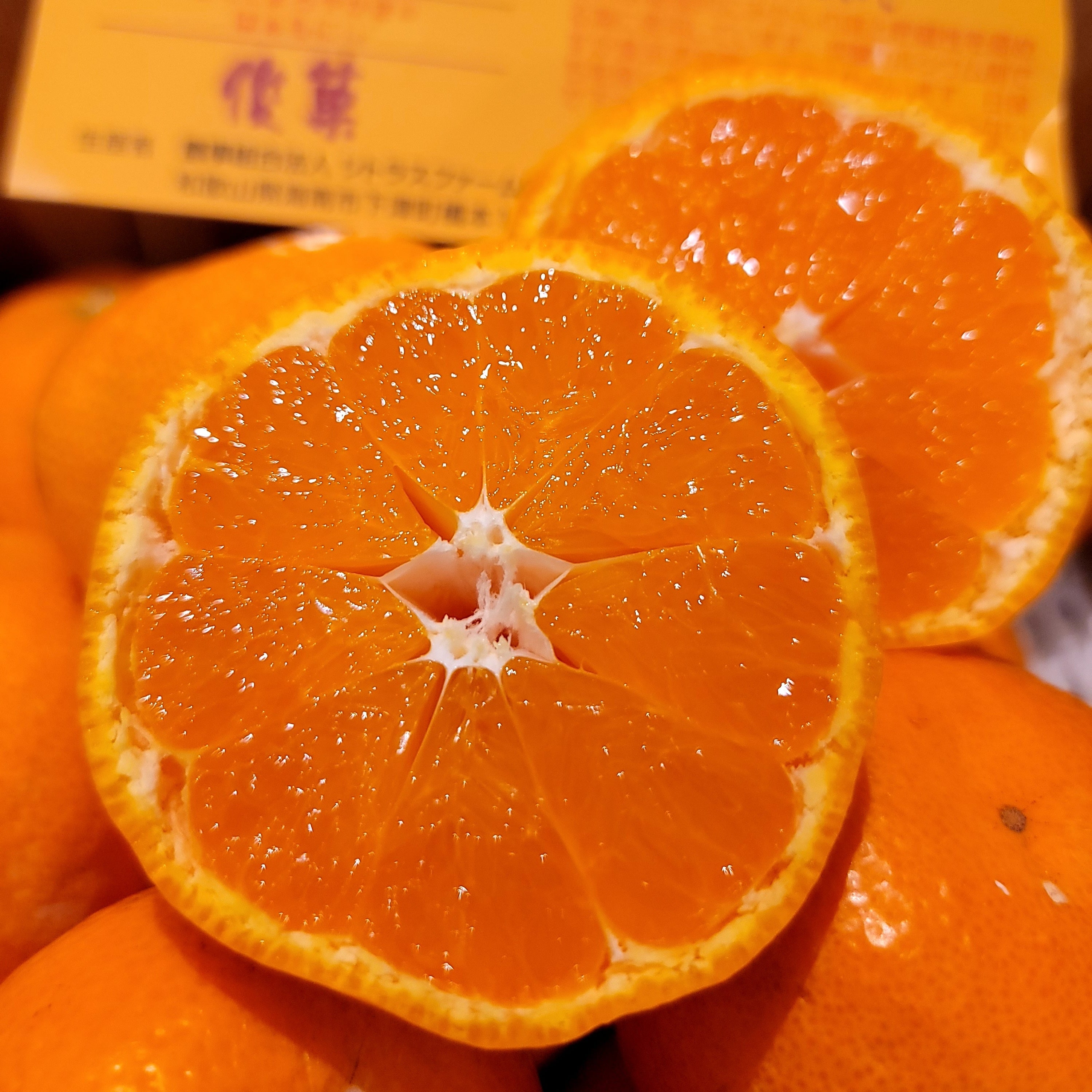 Wakayama Shunka Mikan 和歌山縣名產"俊菓"